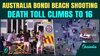 Australia Bondi Beach BREAKING: Death Toll RISES to 16 After Terrorists SAJID, NAVEED Rained Bullets
