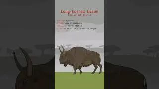 LONG-HORNED BISON DATA | Bison Latifrons Bovidae | Extinct Animals