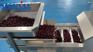 Automatic Vffs machine with multi-head scale pack 500g red dates 立式机配多头秤包 1斤装 红枣 高清