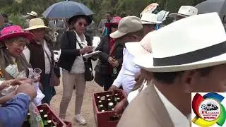 AÑO NUEVO EN VIÑAS HUANCAVELICA MAYORDOMAS NELVA CONTRERAS PEREZ Y TIBURCIA CONTRERAS2026 VOL. 5
