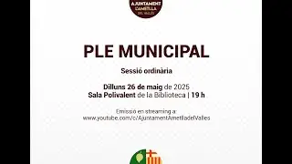 PLE ORDINARI 26/05/2025