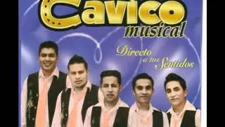 cavico musical  busca amor