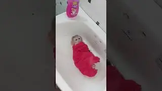 Tiny Pet Covering Blanket Waiting For Take Bath