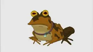 Hypno frog