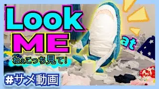 【IKEAのサメ動画】サメに怒ってもこんなんされたら許しちゃうわ...／Look at me「ねぇこっち見て！」