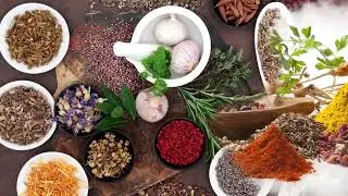 Ipak yo‘li haqida nimalarni bilasiz?