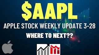 $AAPL APPLE STOCK WEEKLY UPDATE, WHERE TO NEXT?? Apple Stock Analysis | Live Wellthy Stocks