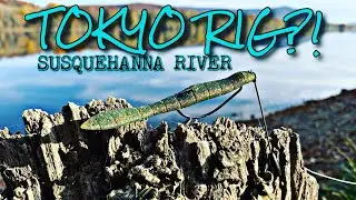 VERSATILITY Of The LEECH For SMALLMOUTH BASS! (Jig & Tokyo Rig)