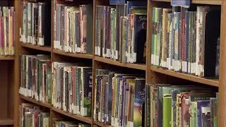 'Who determines what's appropriate?' Bucks County proposed school library policy sparks controversy