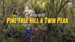Exploring Mossy Forest Pine Tree Hill and Twin Peak in Fraser Hill like Never Before!!