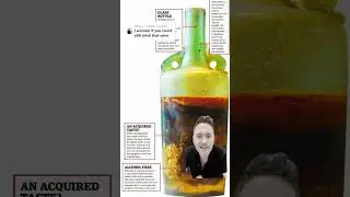 Could you drink a 1700 year old bottle of wine? #shorts