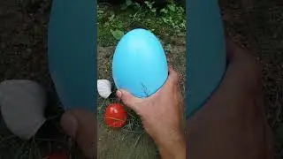 🐌Open toy eggs with many colors 🐣 #toys