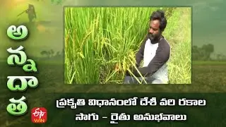 Desi paddy varieties - Natural farming by Bapatla farmer | ETV