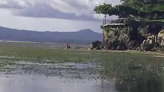 yahoooooo live