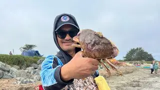 Crabbing at Doran Beach, Bodega Bay