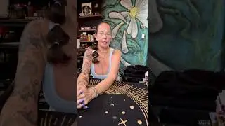 Reset, Void & Integration | Moving Into Your Next Chapter