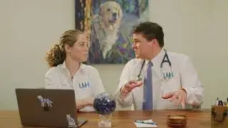 I applied flea prevention but I still see fleas, why isn&rsquo;t it working?