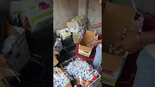 850 Me Anar, pomegranate AFC fruit 🍎🥭 daily market ranchi #fruit #dailyshorts #viral #food #explore