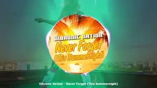 Vibronic Nation - Never Forget (This Summernight) ★