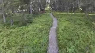 Pytkynharju-Vattukuru
