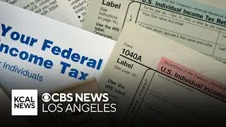 Tax expert Karla Dennis gives some tax advice for last-minute filers