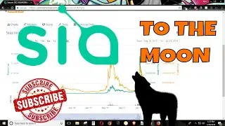 Is Siacoin The Next Mooner