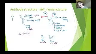 Bioanalytical Chemistry: Antibodies as reagents
