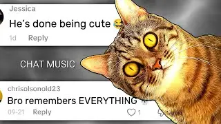 When a Cat Plots Revenge 💀 - Chat Music 