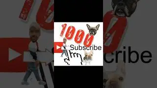 🚨 🫤Living with Frenchy problems /ROAD TO 1000 #dog #puppy #dogshorts #viral #viralshorts