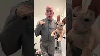 Оцените мой костюм на Хэллоуин