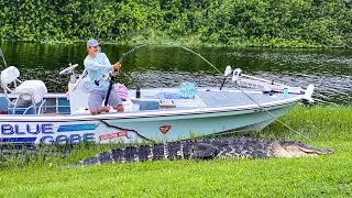 *MASSIVE* ALLIGATOR caught on Rod and Reel! Catch Clean and Cook!