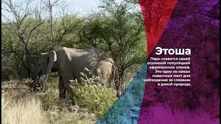 2 серия-Намибия 2022