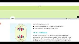 Cell Cycle and Cell Division One Shot Video | NCERT Class 11 Biology Chapter 10
