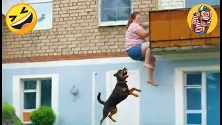 Funny & Hilarious People Life 😆 #2 | TRY NOT TO LAUGH CHALLENGE 🤣 | Funny Videos Compilation 2026