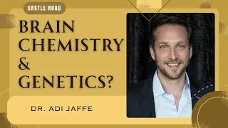Is Addiction A Result Of Brain Chemistry & Genetics? - Dr. Jaffe