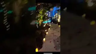 Pauly D preparing for the situation wedding proposal