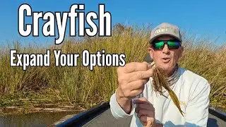 Creative Crayfish Riggs-Expand Your Options.
