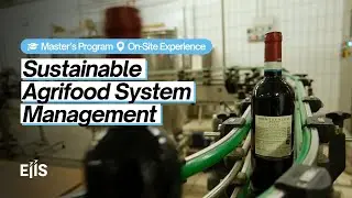 Sustainable Agrifood System Management Master&rsquo;s Program - Caprai On Site Experience