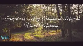 Viorel Muresan 2020  M-am saturat de aceasta lume stricata (Muzica crestina veche) cover!