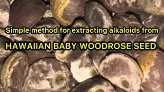 Hawaiian Baby Woodrose Seed Tincture- Step by Step Procedure (LSA Extraction from Argyreia nervosa)