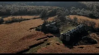 Fall and Flight in Northwest Pennsylvania