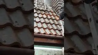 MC Pressure Washing | Professional Roof Cleaning London & Surrey Service