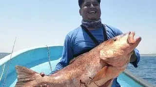 pesca de pargo #pesca con equipo de jigging