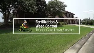 Get Reliable Fertilization and Weed Control Services at Tender Care Lawn Service