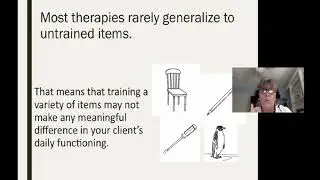 #e229 Preview: Functional and First-Rate Aphasia Treatment: A Client Centered Approach