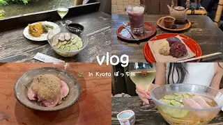 Kyoto vlog.26歳OLの京都ぼっち旅。夏ver🌻老舗あんこ巡り&お酒巡り🍶🥂♥️