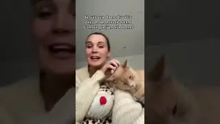 L&rsquo;amour des animaux #shortvideo #short #cat