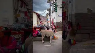 caminar x las calles de cusco es sentir tradiciones y color 🌈#cusco #peru #youtubeshorts #travel