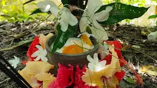 আমাদের বাড়ির মনসা পূজা। মা পূজো দিচ্ছে । 