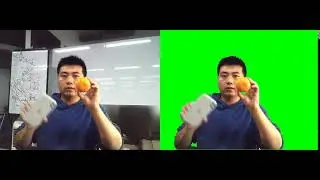 Matting Demo for LRN  in CVPR2021